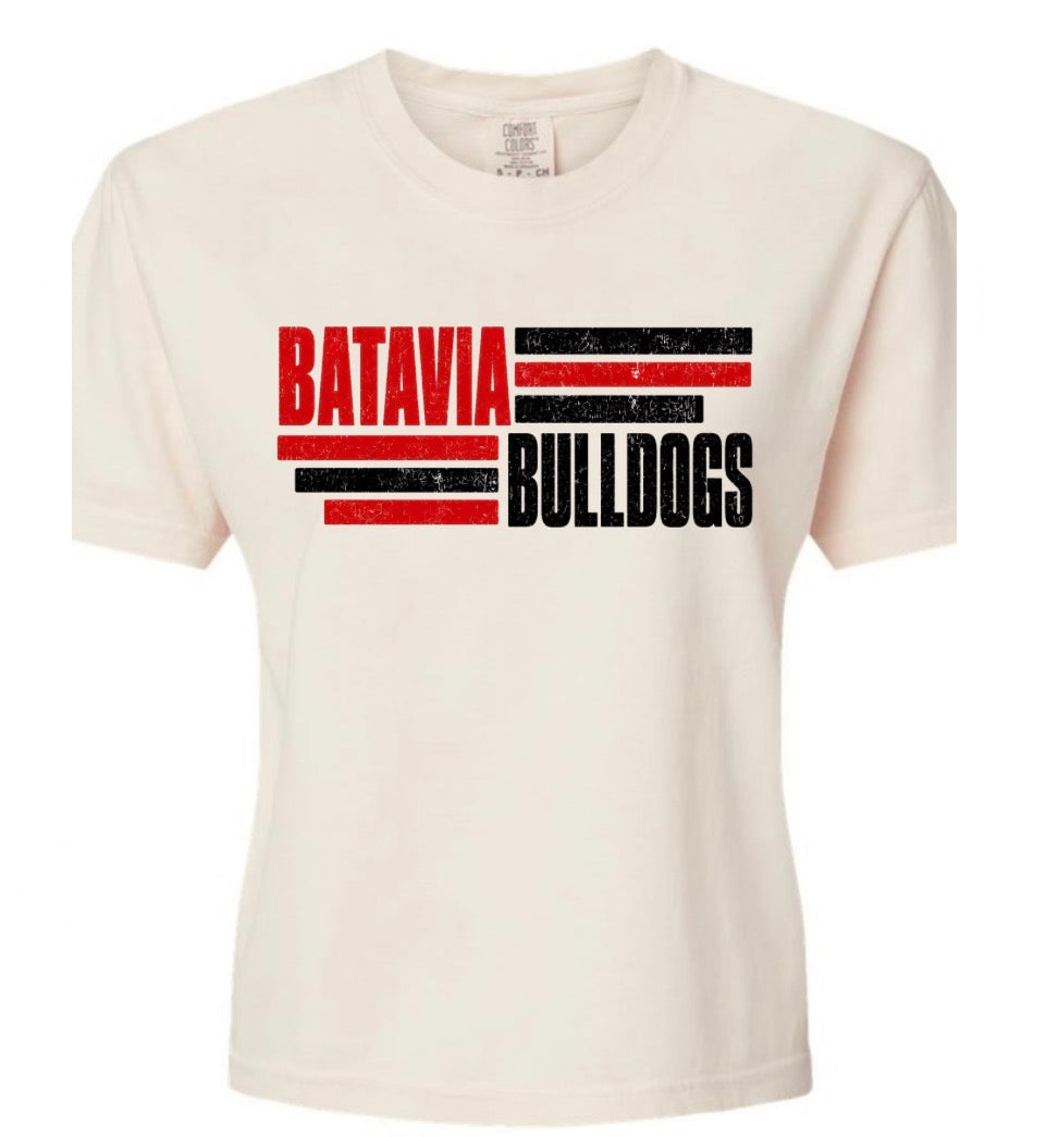 Batavia vintage