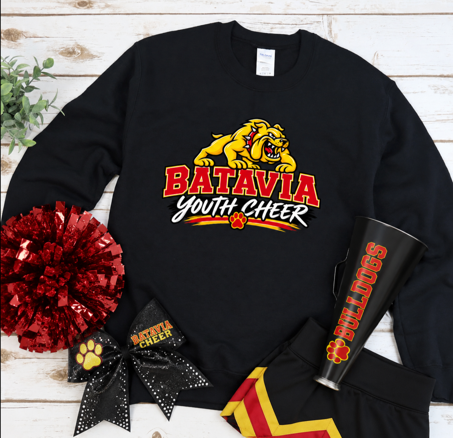 Batavia youth Cheer 2026
