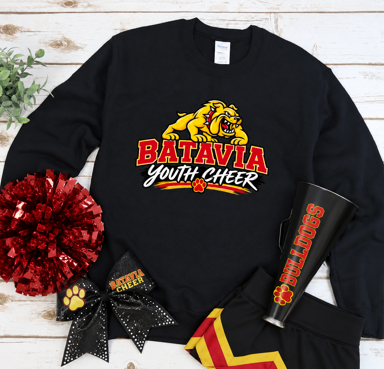 Batavia youth Cheer 2026