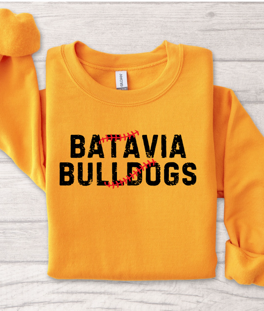 Batavia Baseball 2025