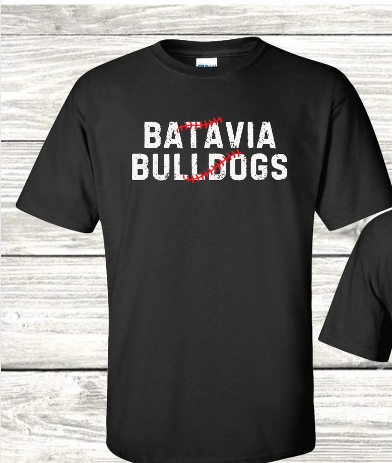Batavia Baseball 2025