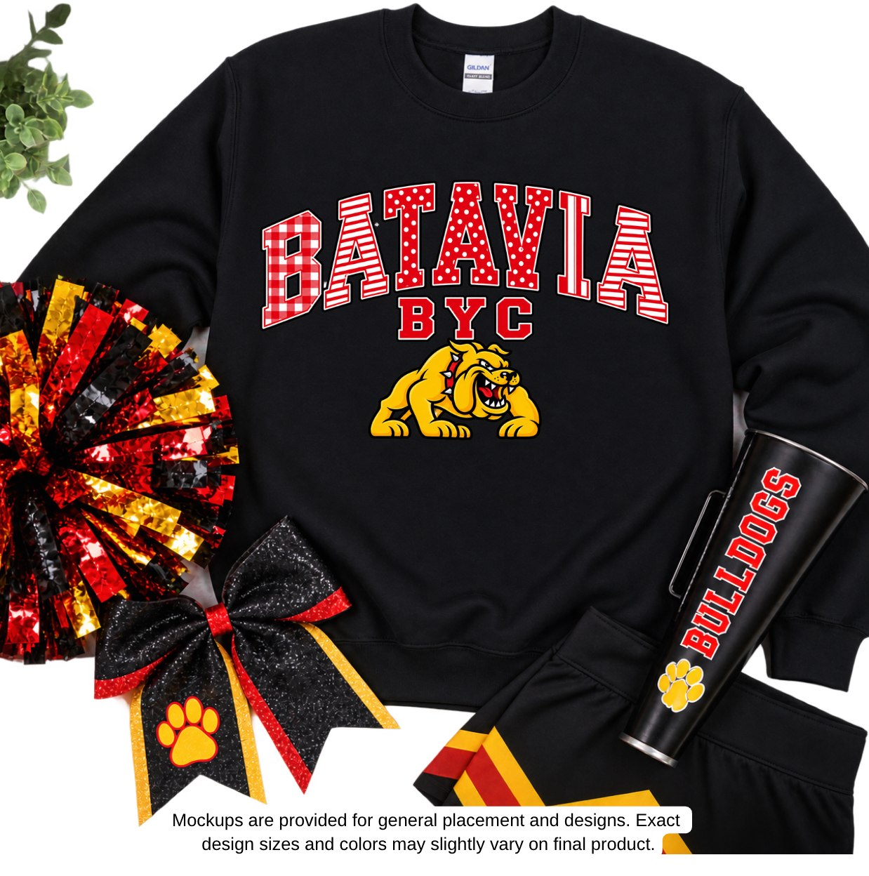 Batavia youth Cheer