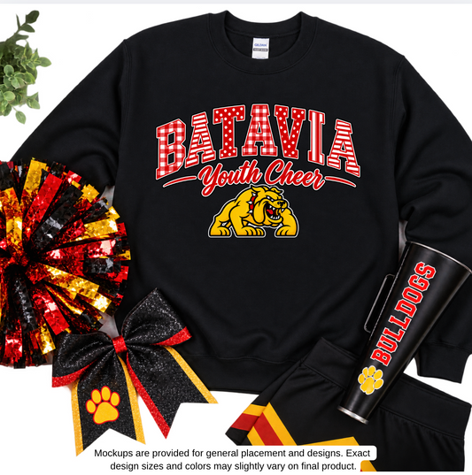 Batavia youth Cheer