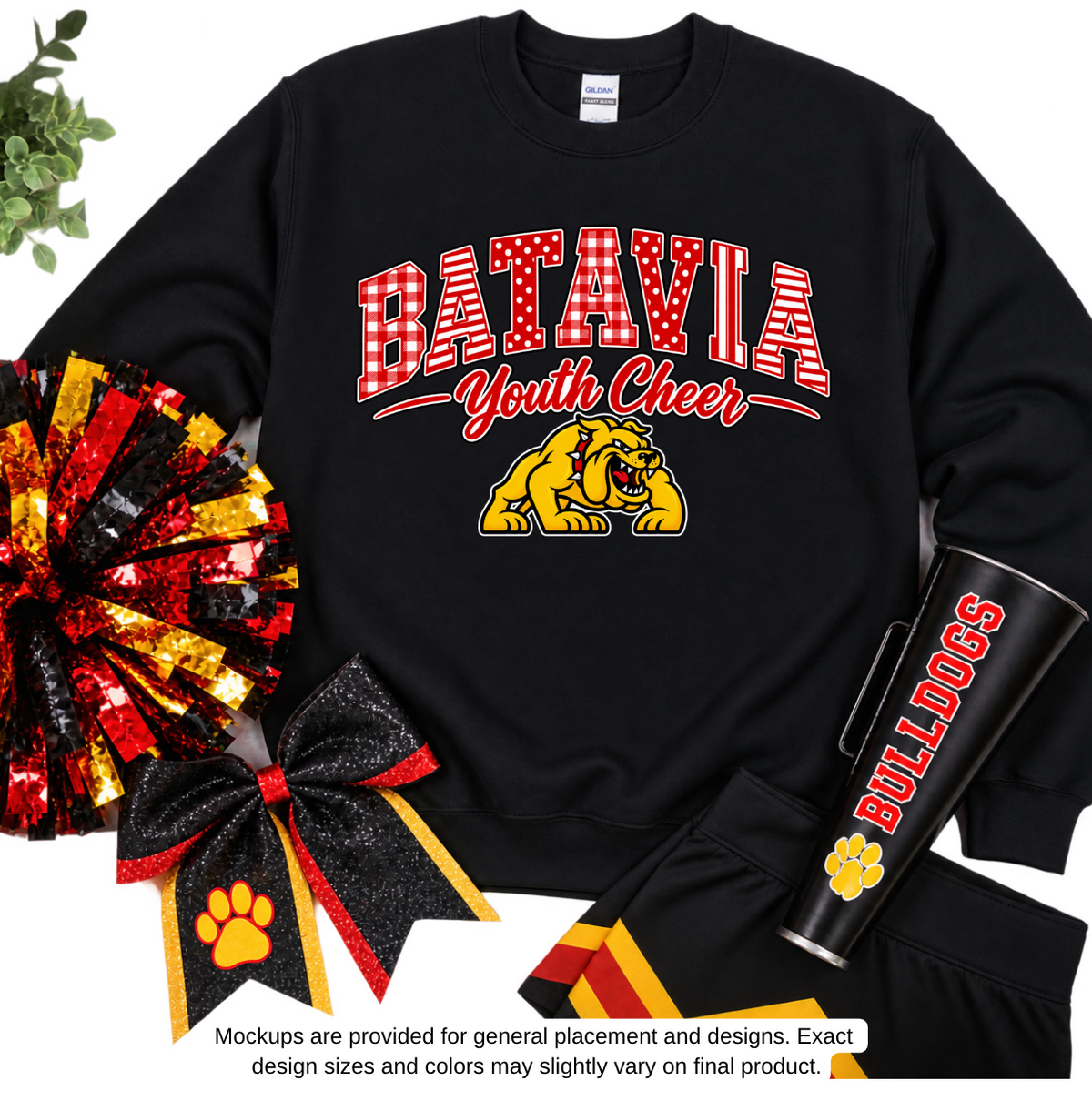 Batavia youth Cheer