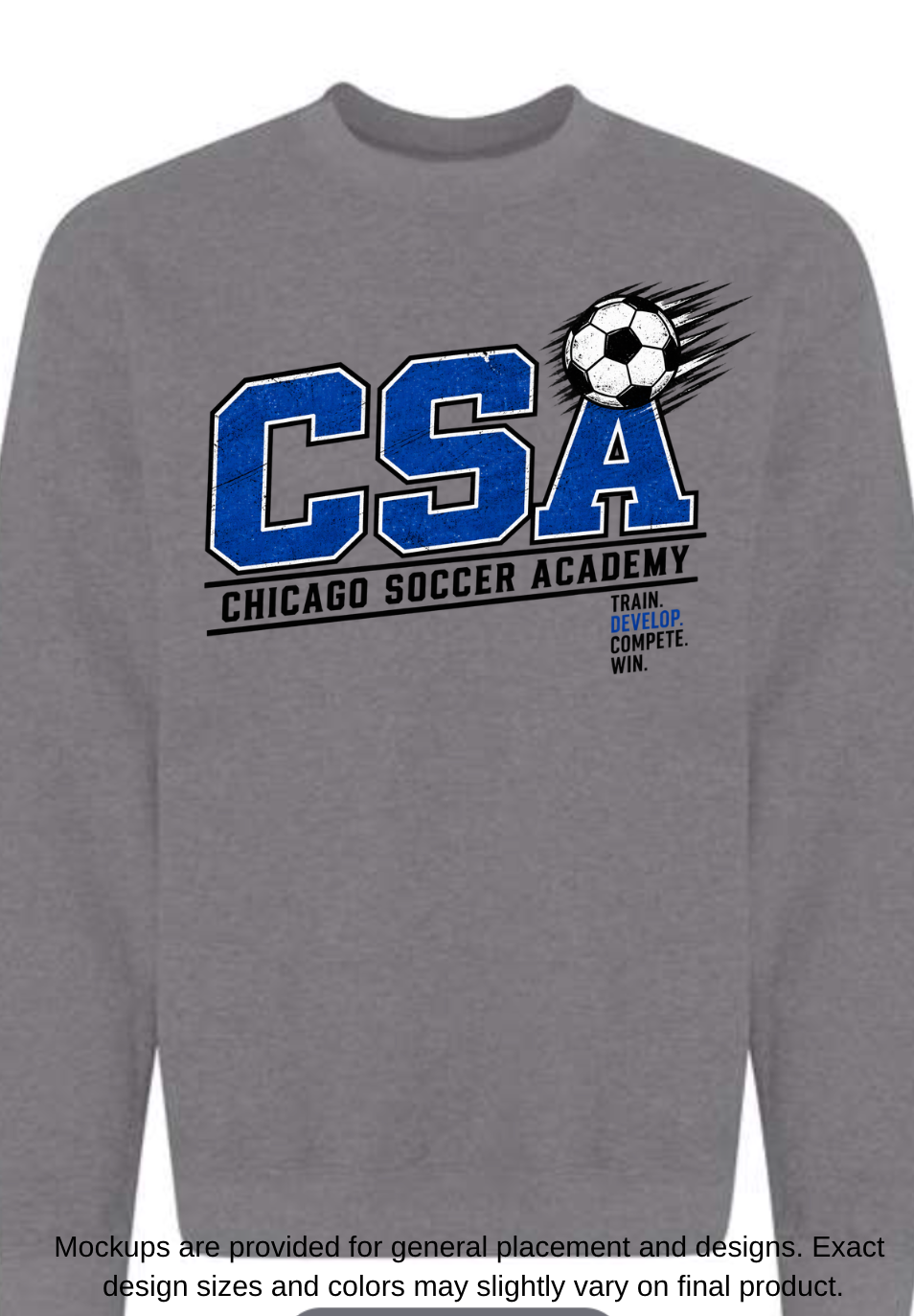 CSA Chicago Soccer Academy