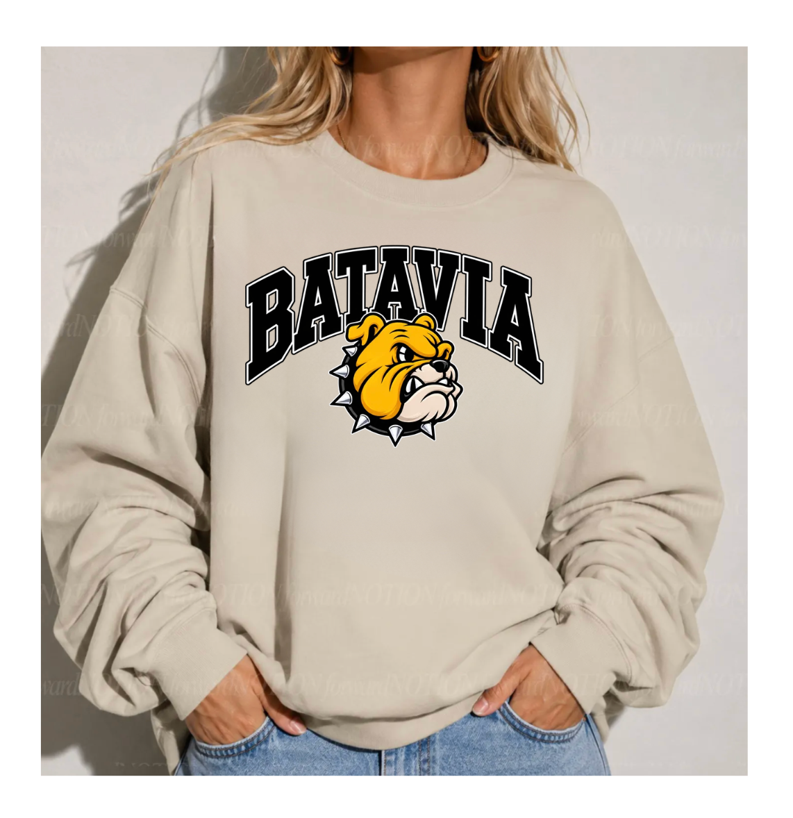 Batavia with Bulldog