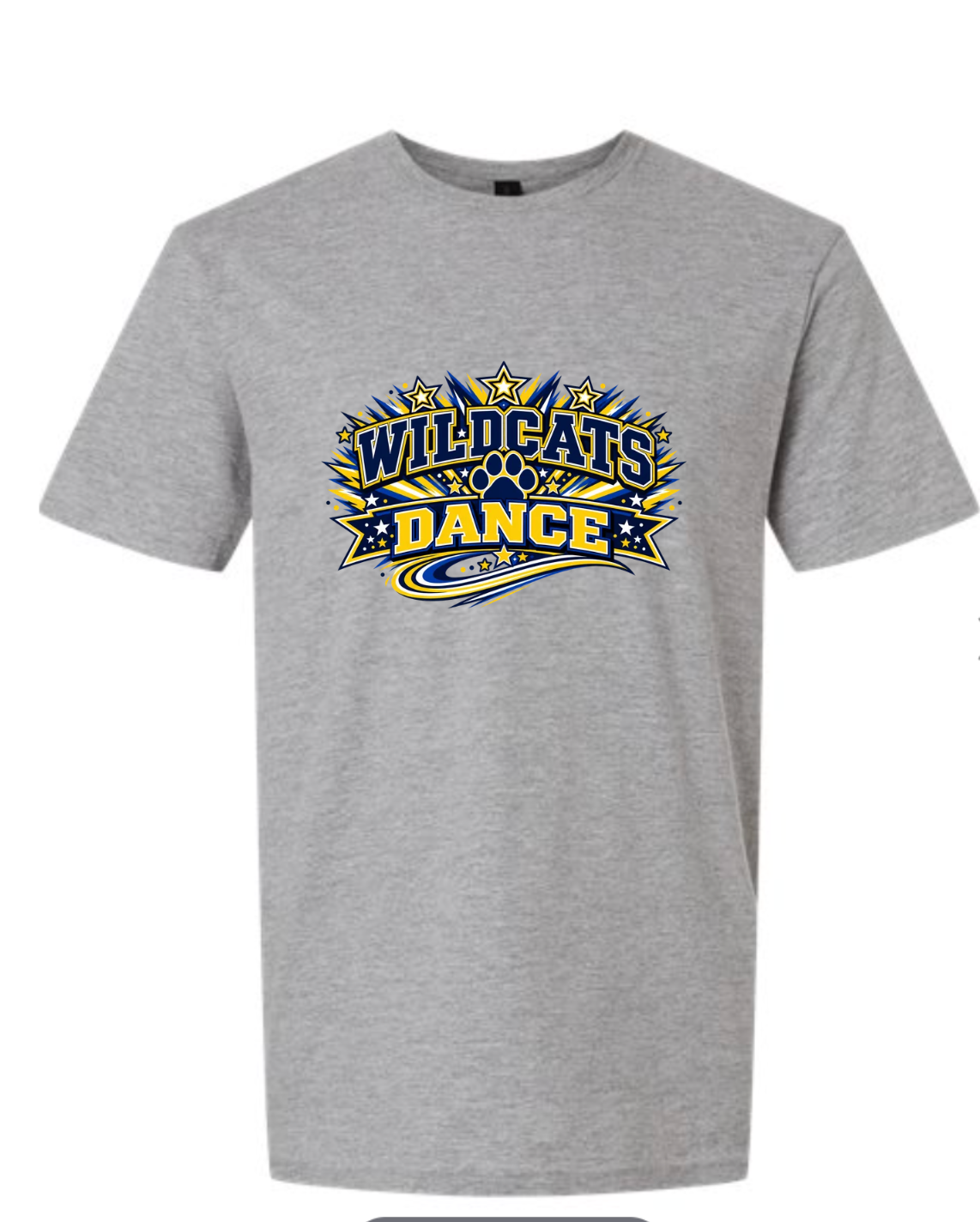 Wildcats Dance