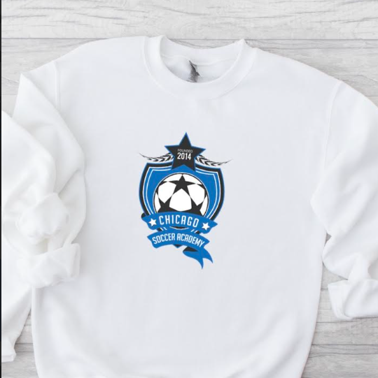 CSA logo