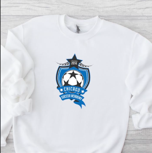 CSA logo